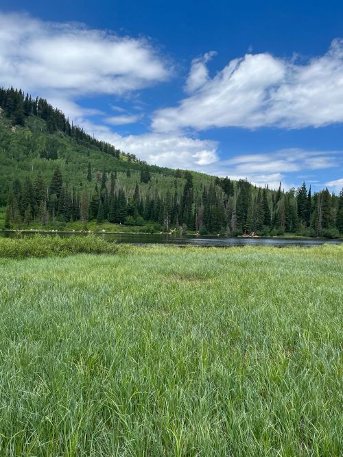 Spending time in nature is one of Dr. Rabbani's favorite ways to recharge.